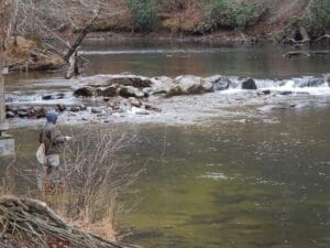 A man is fishing in a river near a tree.
